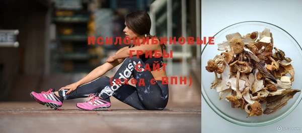 кокс Дмитровск