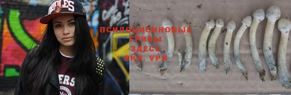 гидропоника Елизово