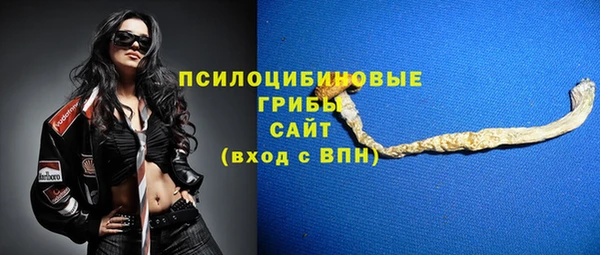 кокс Дмитровск