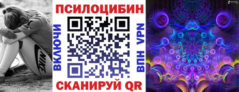 Купить где  Шахунья  Псилоцибиновые грибы GOLDEN TEACHER 